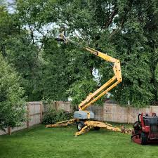 Best Emergency Tree Removal  in Silver Hill, MD